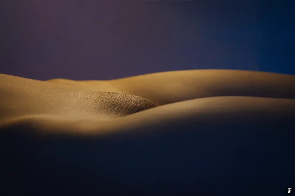 - by Tomás Freres